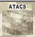 Camouflage ATACS